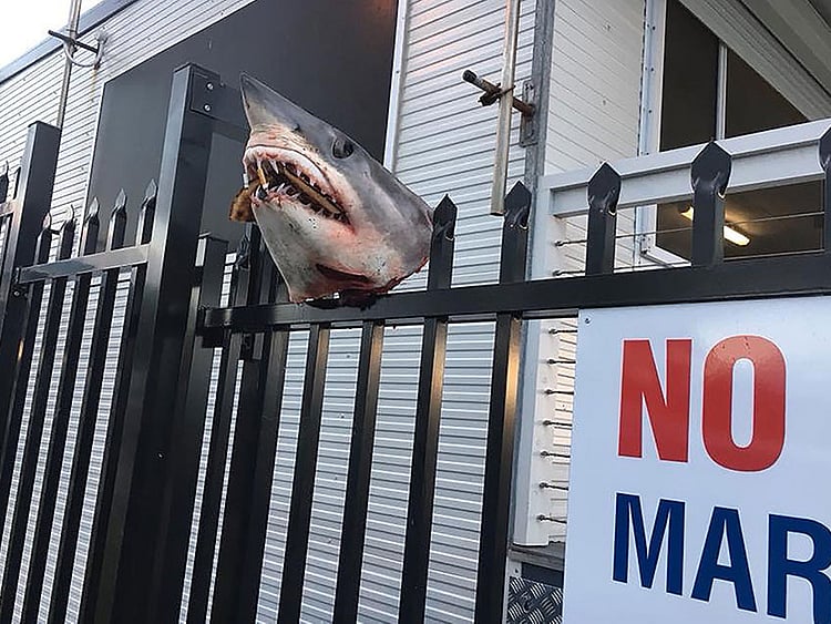 1.2235452-1352984193