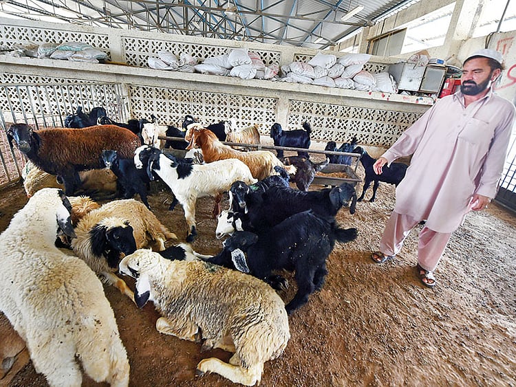 1.2235681-3348487856