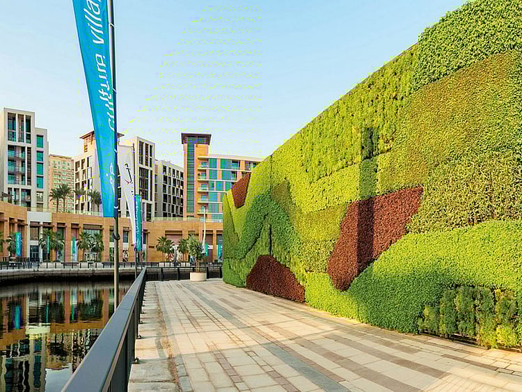 1.2236455-1901988143