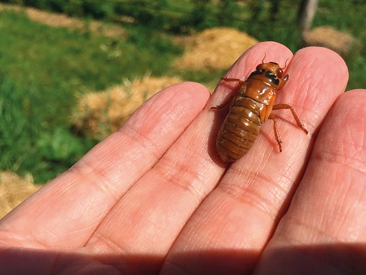 1.2236939-3215645628