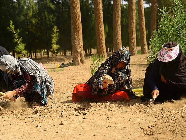 1.2236727-1328716475