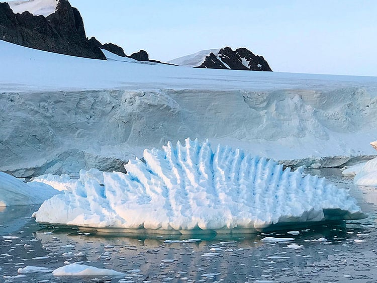 1.2236793-2780055671