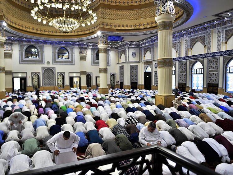 1.2237293-3689749025