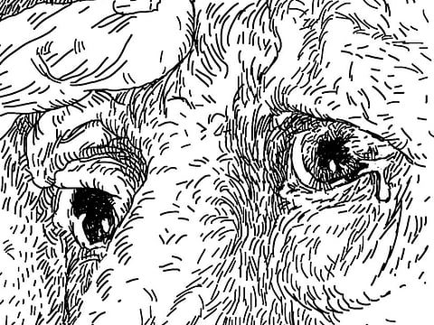 Niño Jose Heredia/©Gulf News