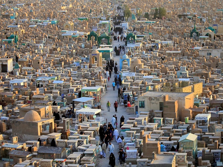 1.2238055-3650338816