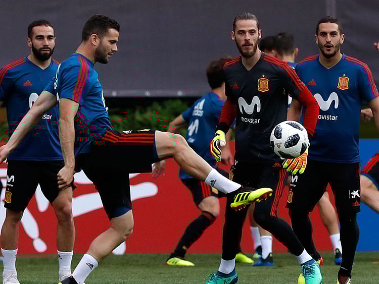 1.2239043-1501417733