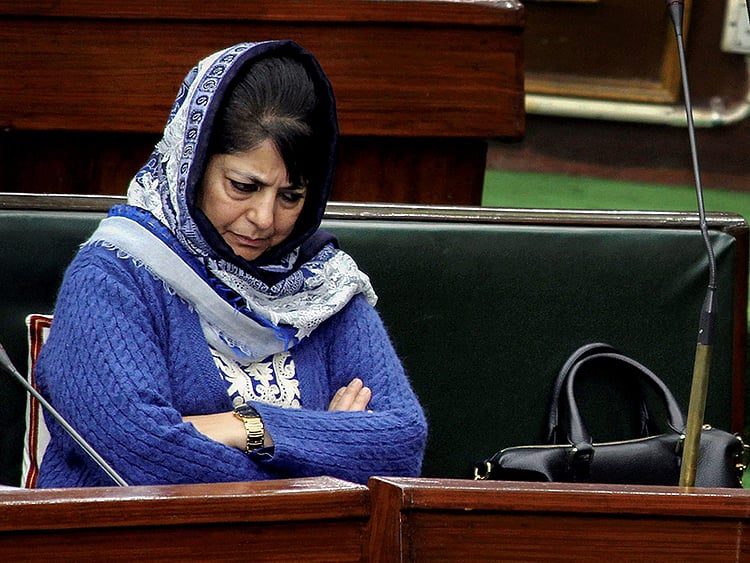 1.2239065-2888731903