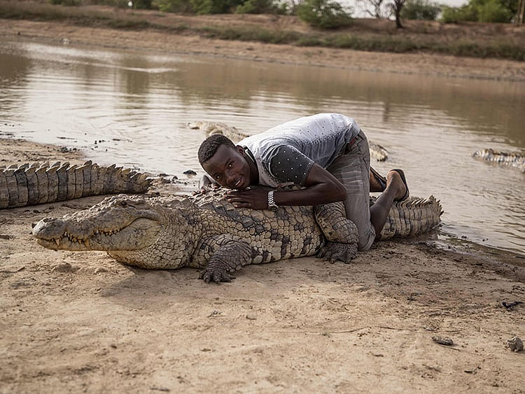 1.2239297-2663715543