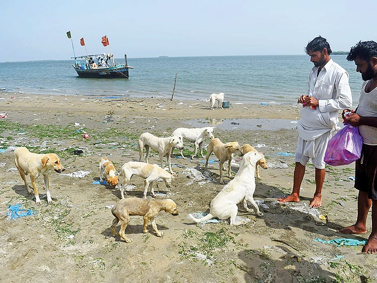 1.2241206-1017313058