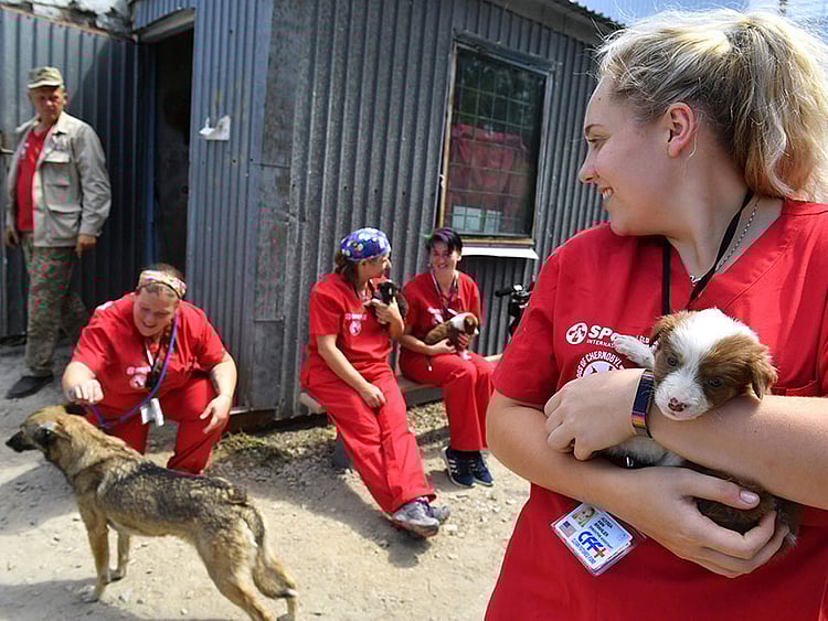 1.2241703-2788985161