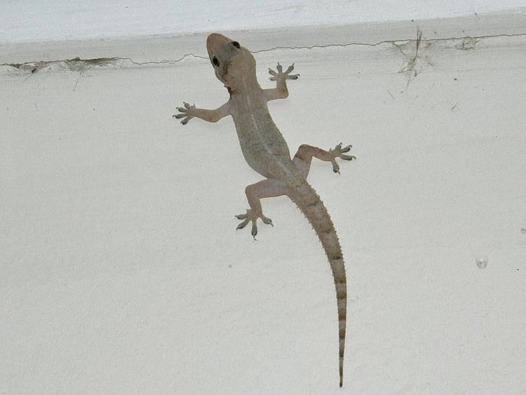 1.2242029-2045314388