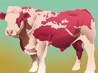 To save the planet mankind must shift from animal to plant-based diet