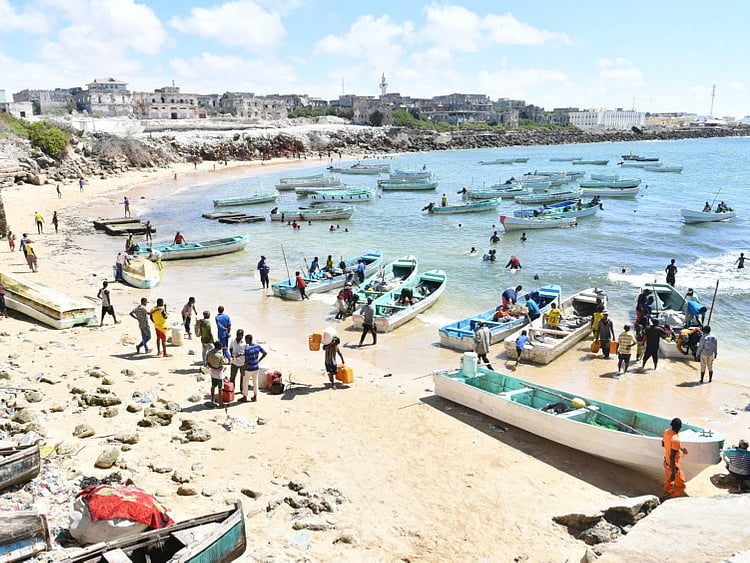 1.2244209-3318662124