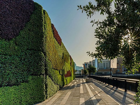 Dubai Properties