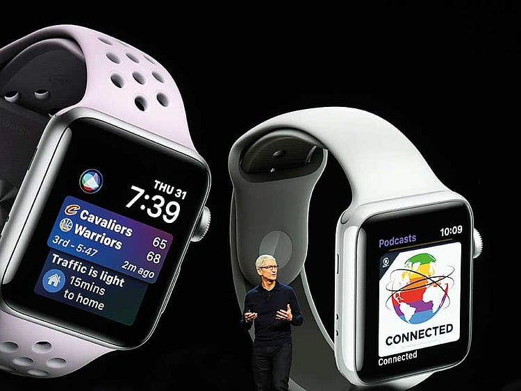 1.2233127-2922848172