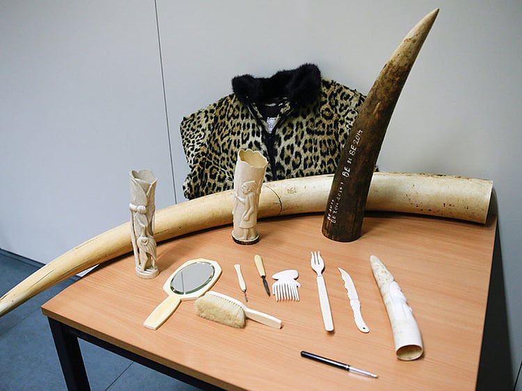 1.2249545-1248113352