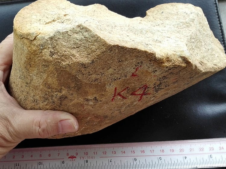 1.2250211-3769353529