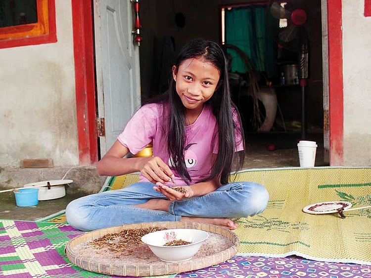 1.2249862-3540086811