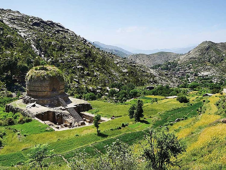 1.2250632-2371936012