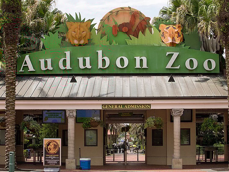 1.2251499-1191556719