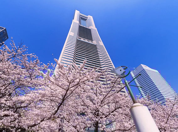 1.2251753-1599932266