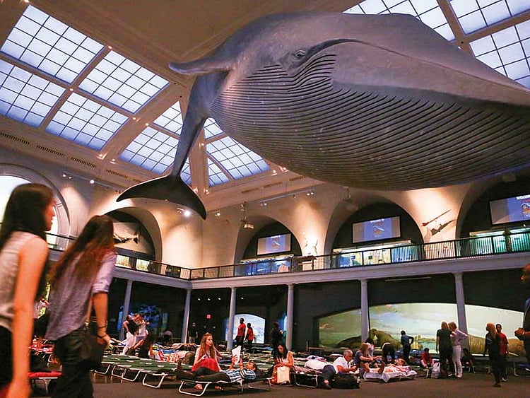 1.2252205-3999357355