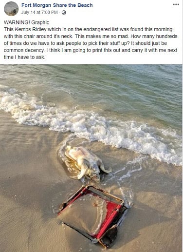 1.2253005-2049829344