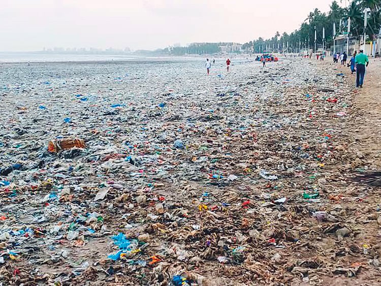 1.2253444-2478286931