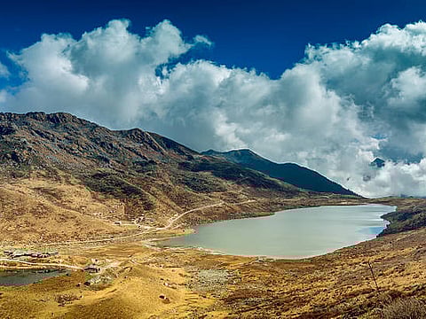 Embracing your own backyard