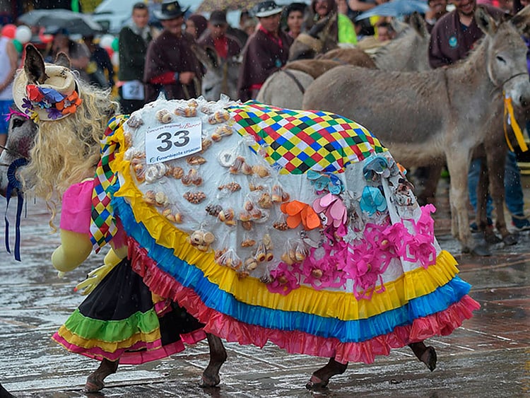 1.2245095-2704486206