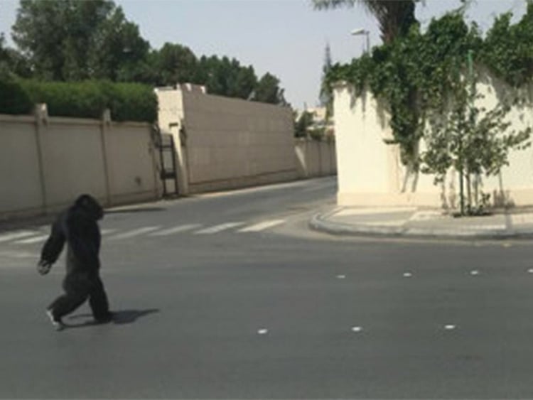 1.2254773-3834054413