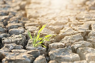 A world of water under consumption pressure