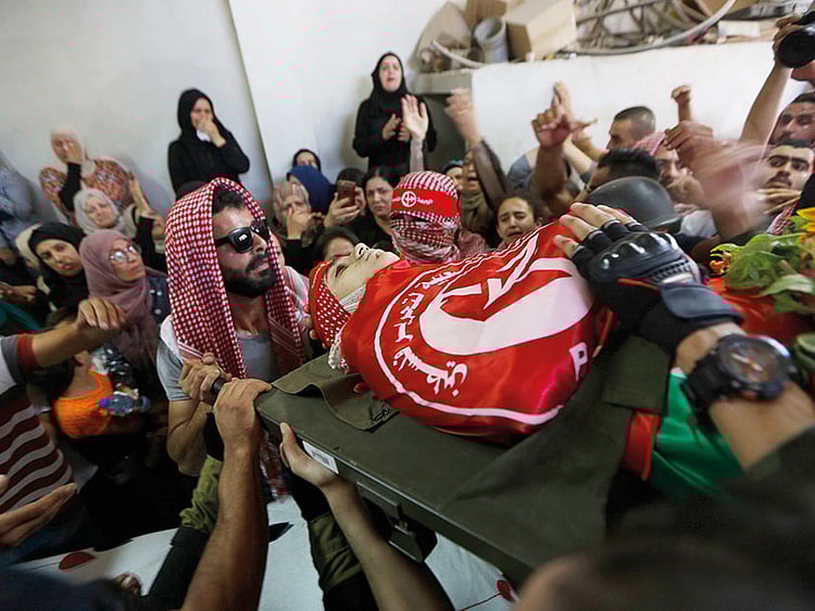 1.2255764-2644922403