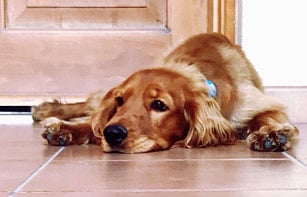 Shamma Salem Al Muhairi