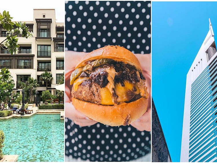 1.2258404-2619558610