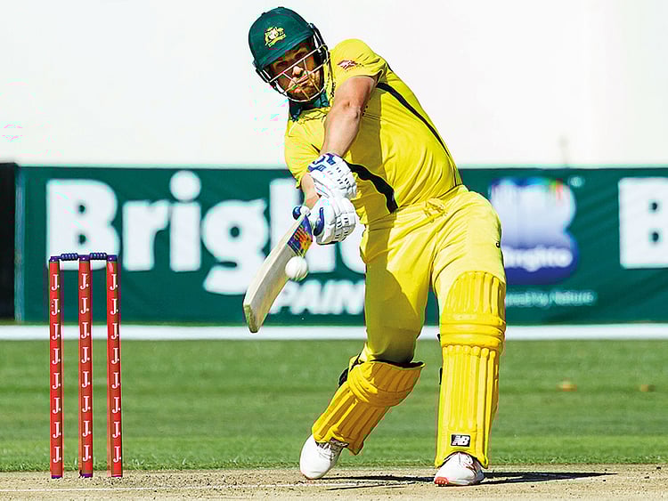 1.2245993-1642029556