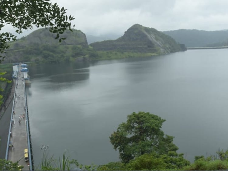 1.2259461-3834054413