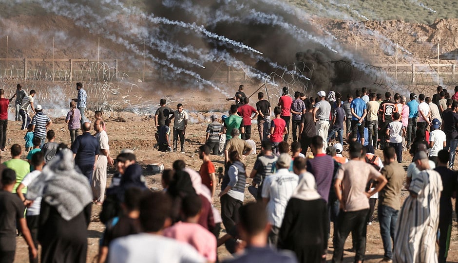 1.2259699-2551174124