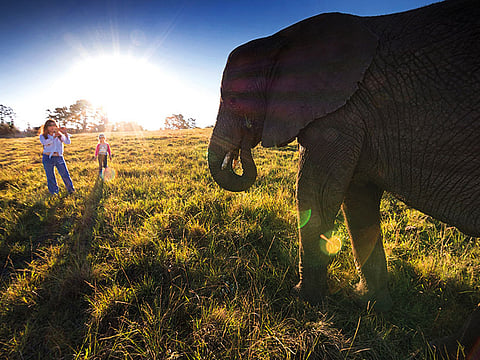 Getty Images/iStockphoto