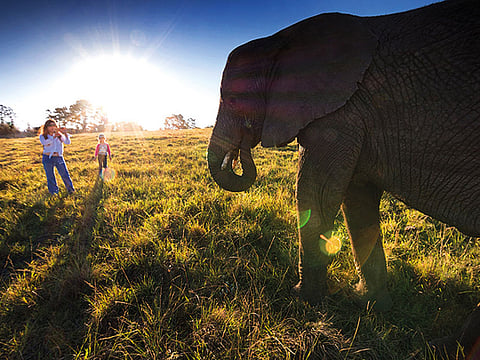 Getty Images/iStockphoto