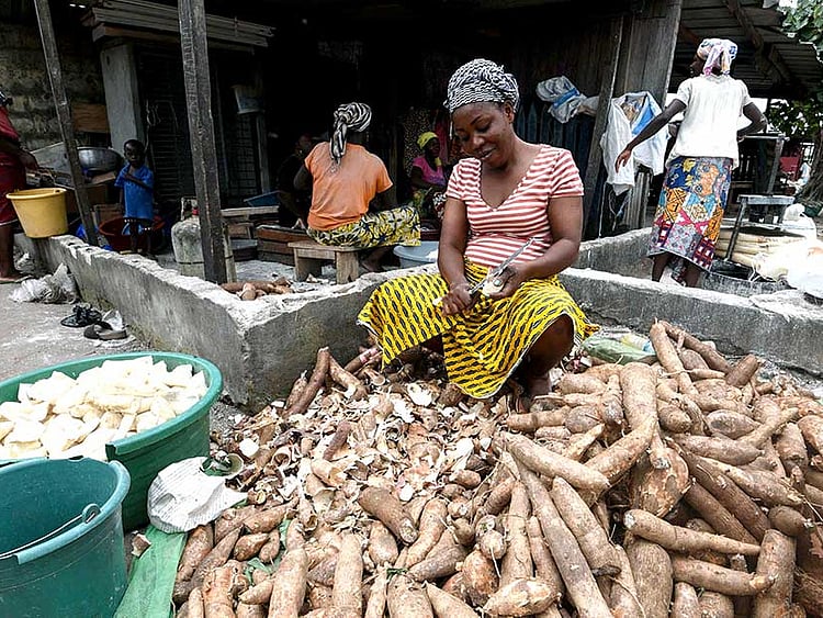 1.2248091-2316484784