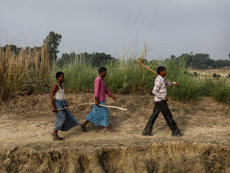 1.2264349-3071520872