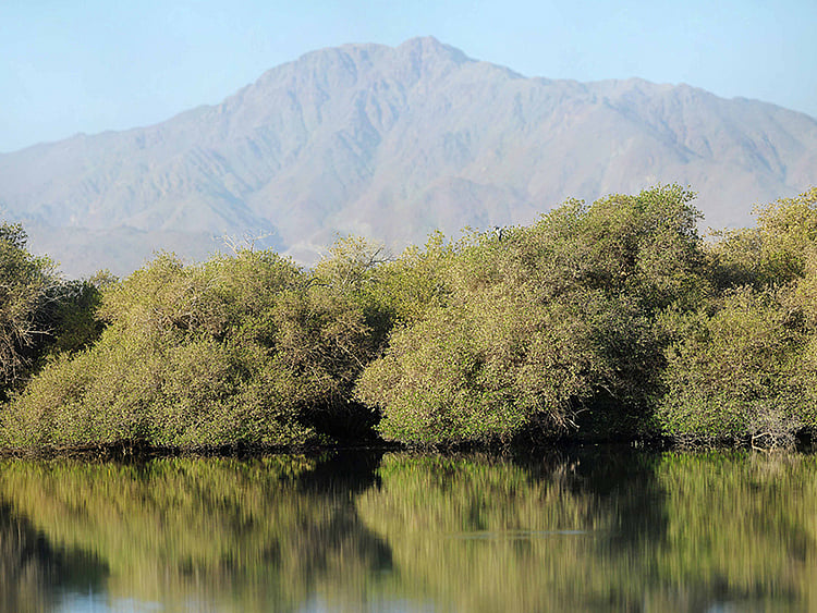 1.2264487-4188783806