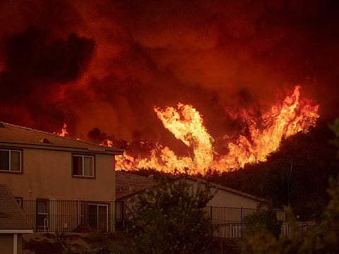 Los Angeles Times/TNS