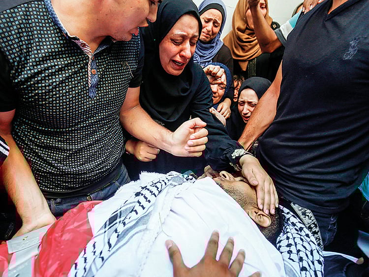 1.2264484-1235384788