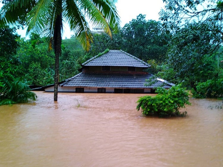 1.2265135-2466899501