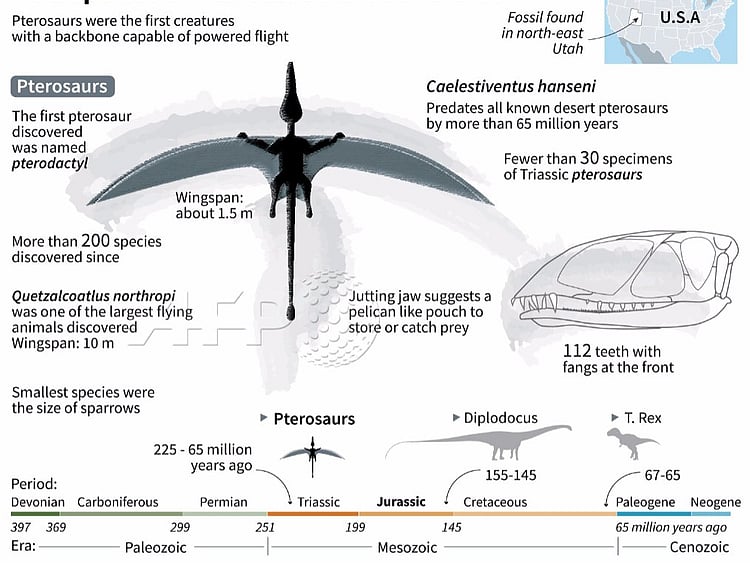 1.2265814-1139965171