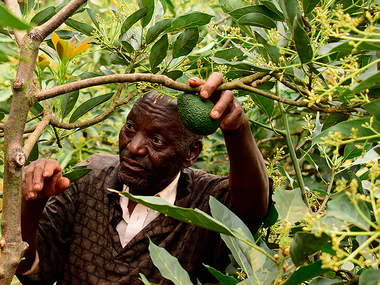 1.2266537-3797968957