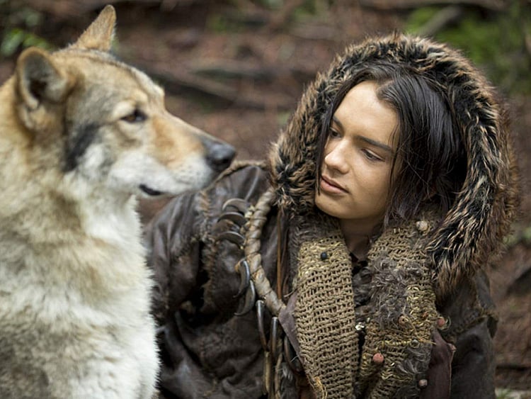 1.2266899-4252872201