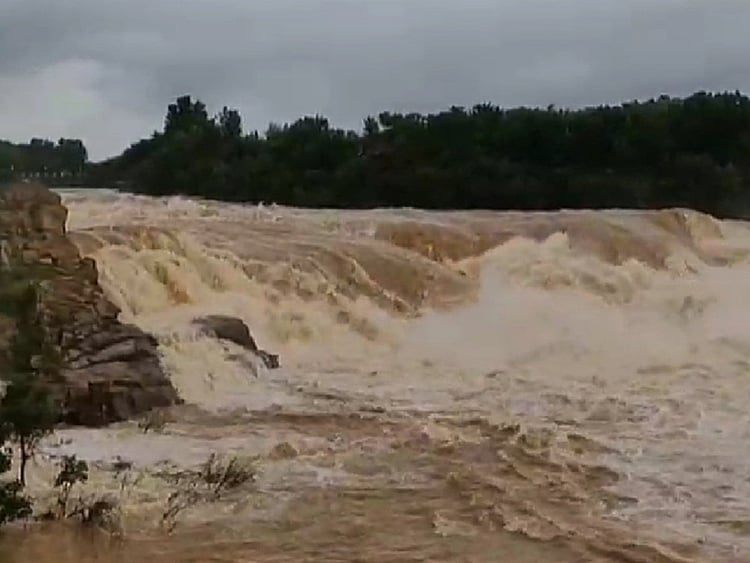 1.2268188-1529763791